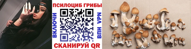 Купить где  Павловский Посад  Галлюциногенные грибы мухоморы 
